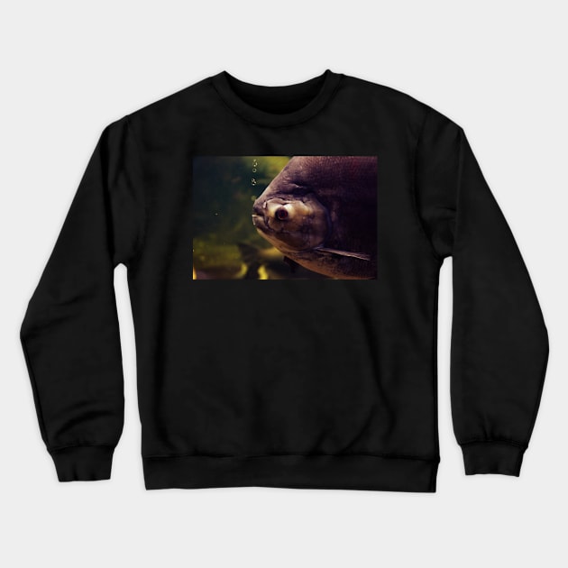 fisheye Crewneck Sweatshirt by hottehue